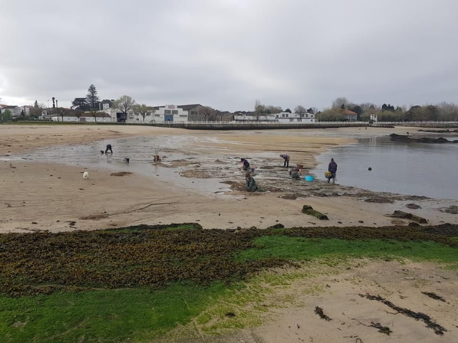 "Mareas vivas" en Galicia.