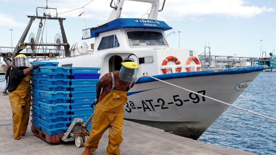 El 53,4% del pescado y marisco comercializado en la Comunidad Valenciana en 2020 procede de la provincia