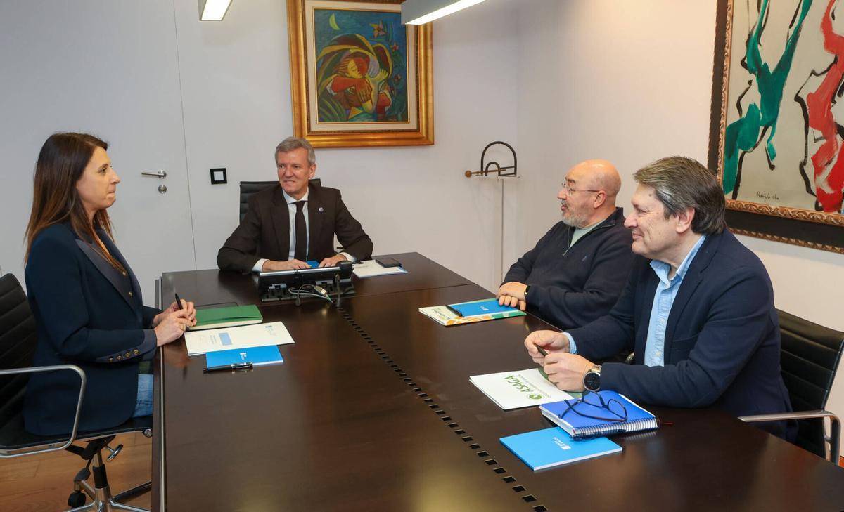 María José Gómez, Alfonso Rueda, Roberto García y Francisco Bello.