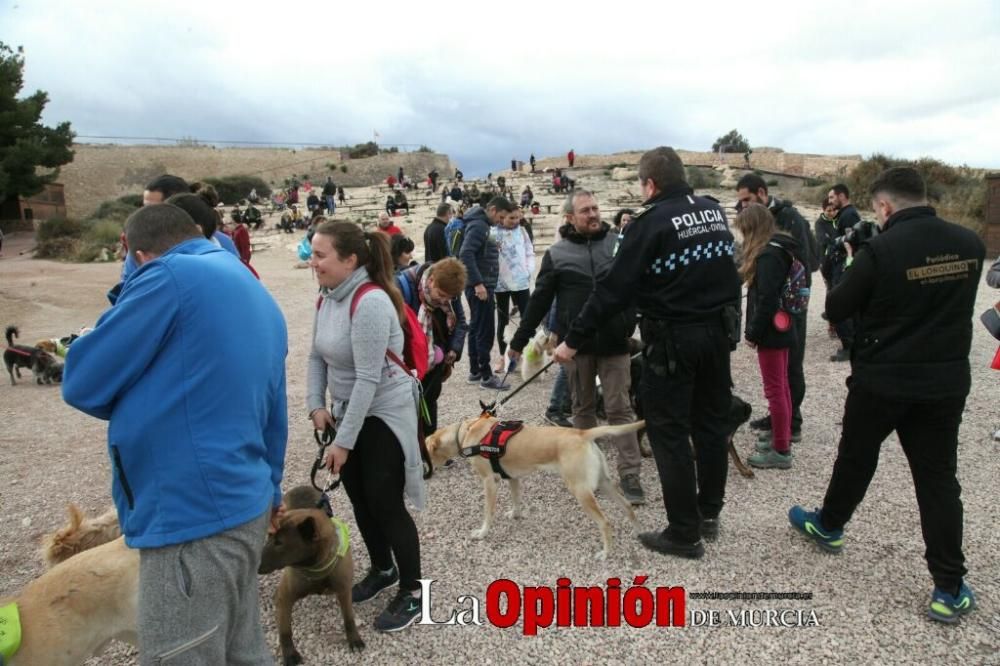 Jornada especial por San Antón en la Fortaleza del Sol de Lorca