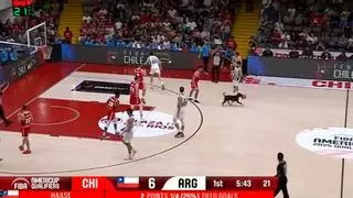 ¡Insólito! Un perro se cuela en el Chile - Argentina de basket