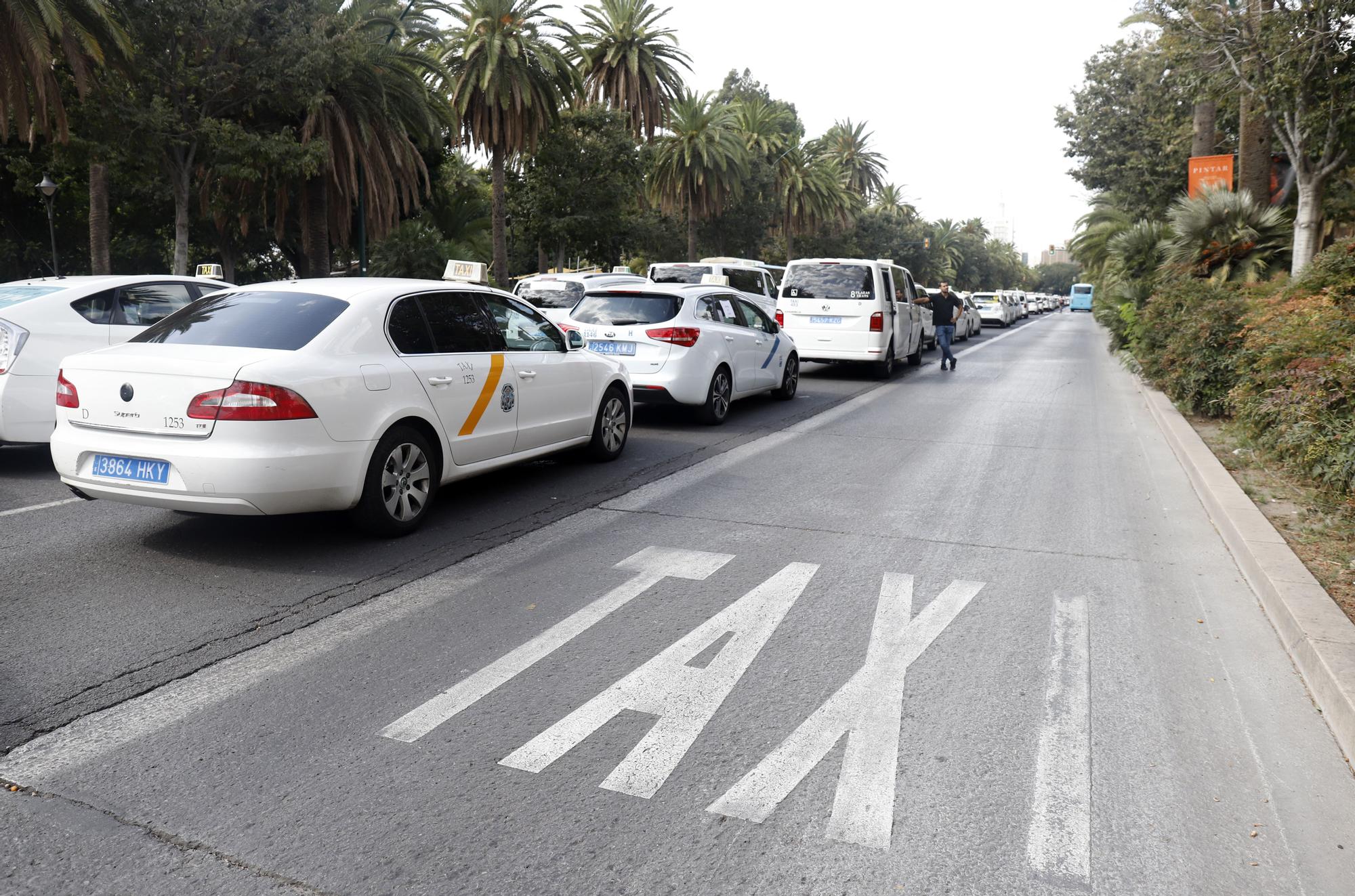 Manifestación del sector del taxi en Málaga contra el intrusismo de las VTC