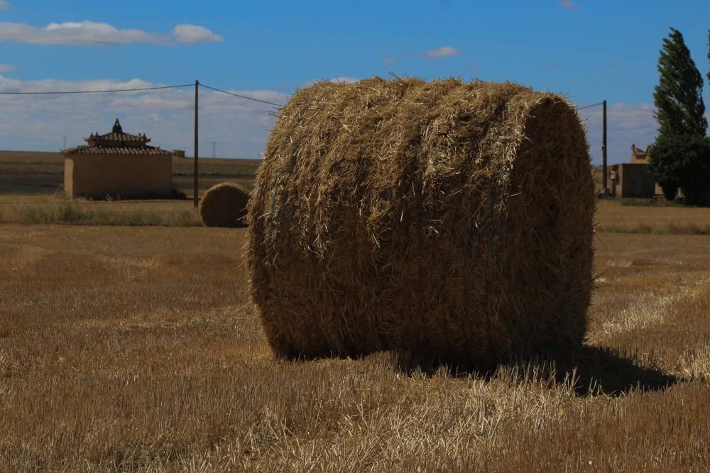 Zamora DesAparece | Manganeses de la Lampreana