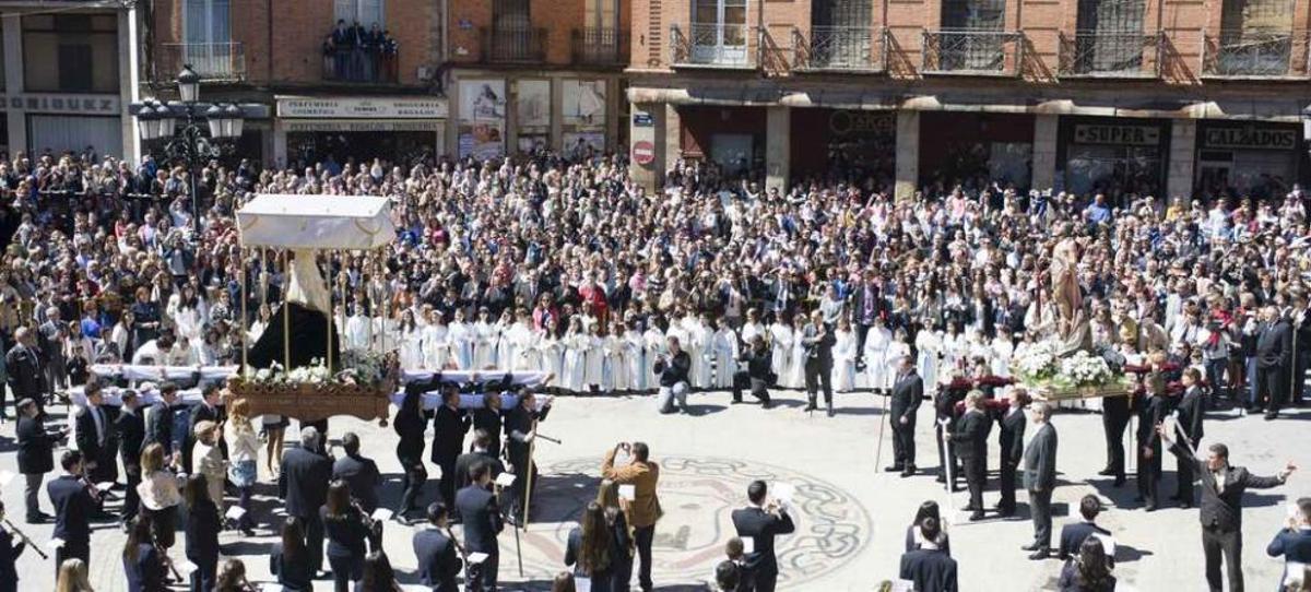 Claveles blancos de Resurrección