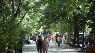 Cánovas avanza 'en las sombras': la reforma del paseo de Cáceres empezará a tomar forma entre 2026 y 2027