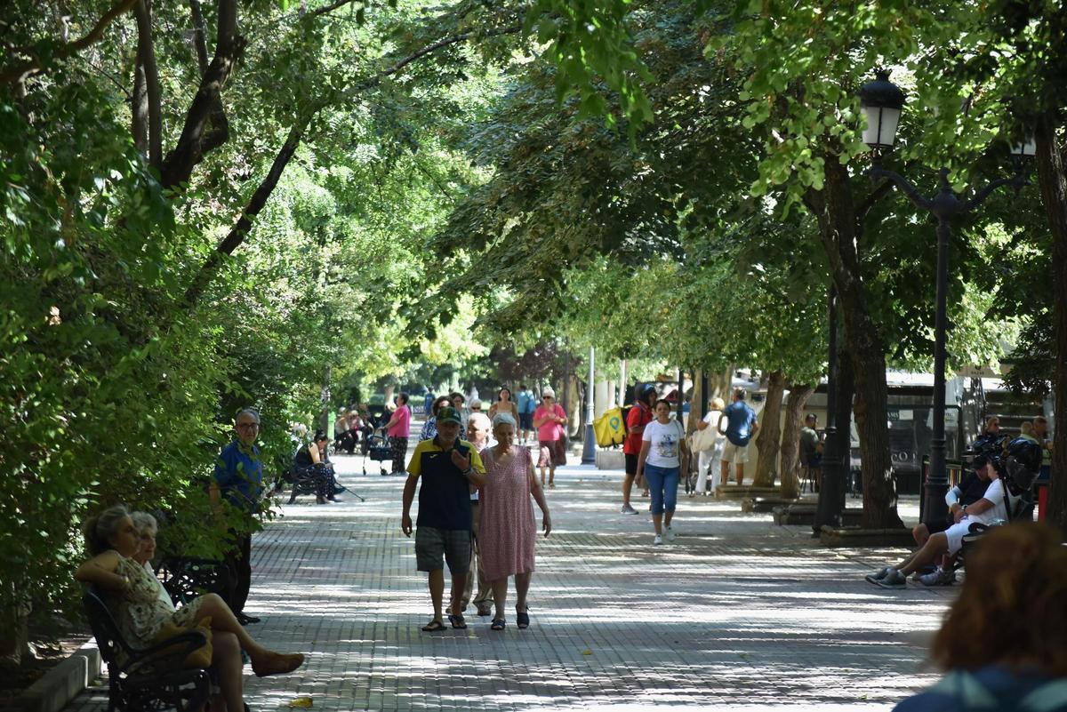 Galería | Los desperfectos del paseo de Cánovas de Cáceres