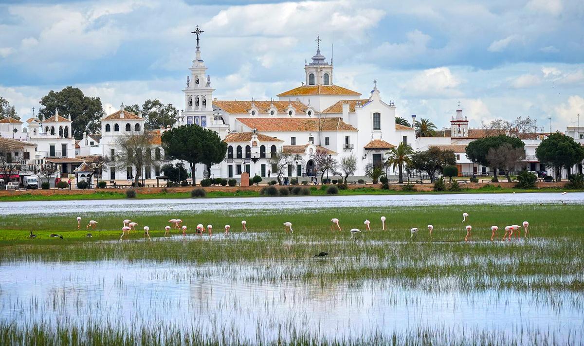 Paraje natural de las marismas de Doñana presentando una inusual inundación del 90% de su superficie. En la imagen, zona junto a El Rocío.