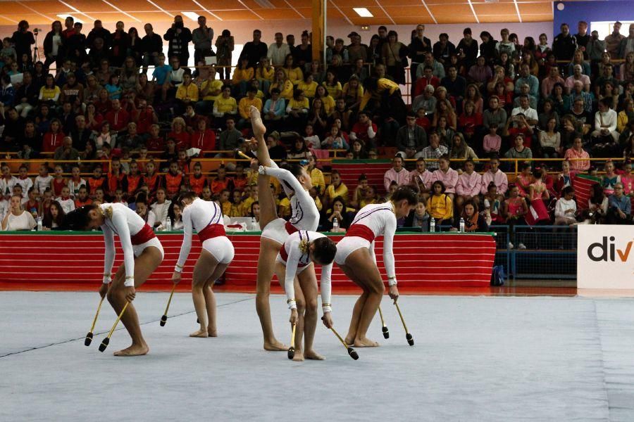 Campeonato de Castilla y León de gimnasia rítmica