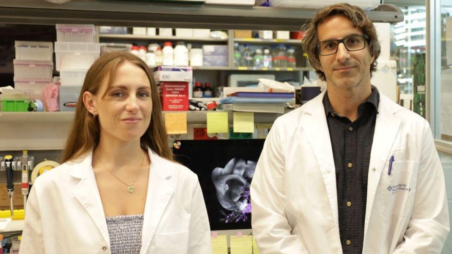 Los científicos mallorquines Catalina Rozalén y Toni Celià-Terrassa. | DM