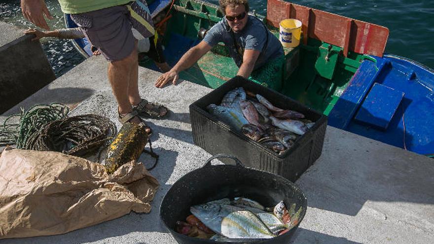 Pescadores en el refugio de Punta del Hidalgo, en el municipio de La Laguna