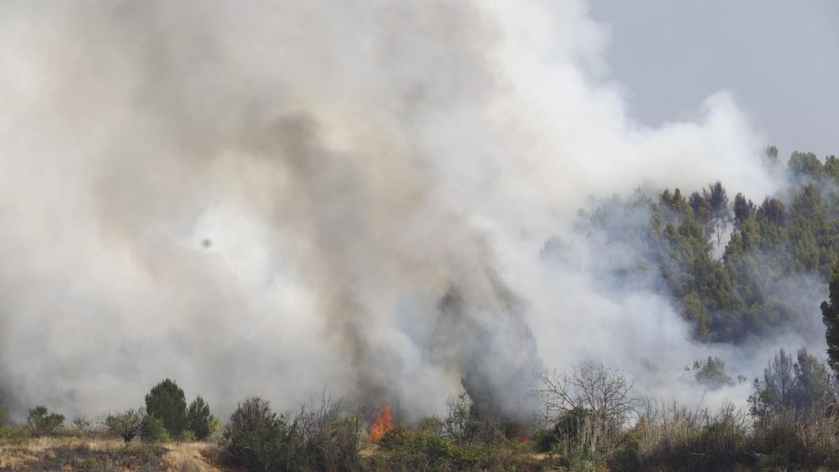 Foco de incendio junto a la N-2, junto al yacimiento de Alcocer, acercándose a Terrer