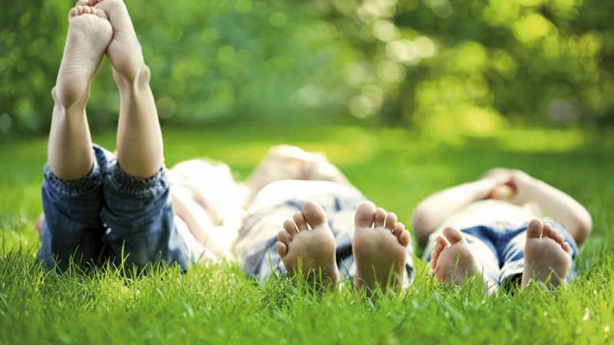 El gaudi d&#039;unes vacances per a tota la família.