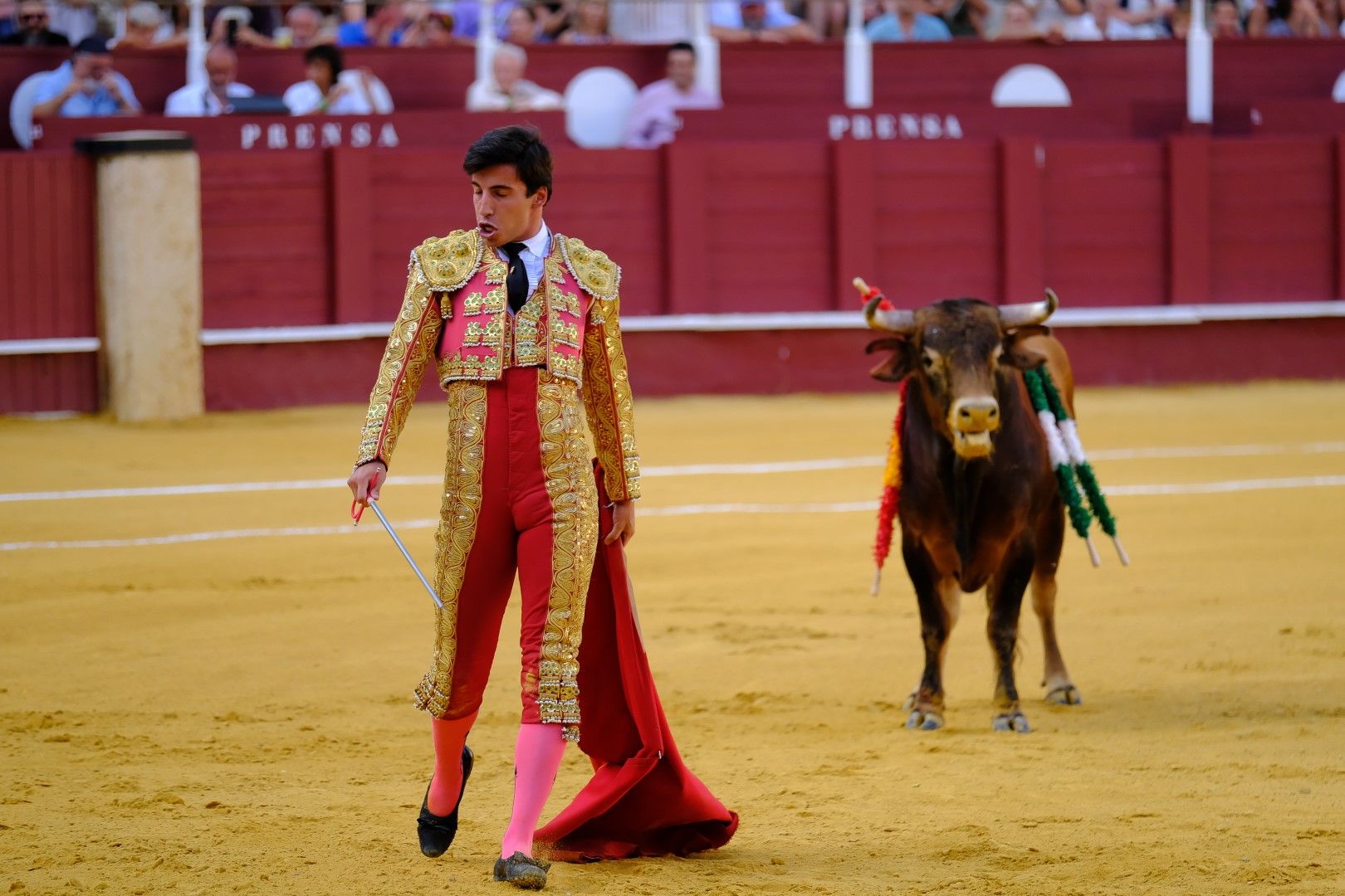 XVI Certamen Internacional de Escuelas Taurinas La Malagueta