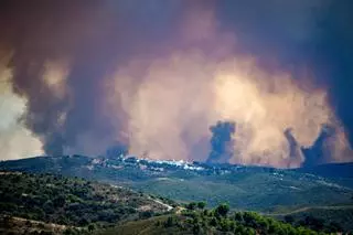 L’incendi de Niebla és ja un dels més devastadors dels últims anys a Andalusia