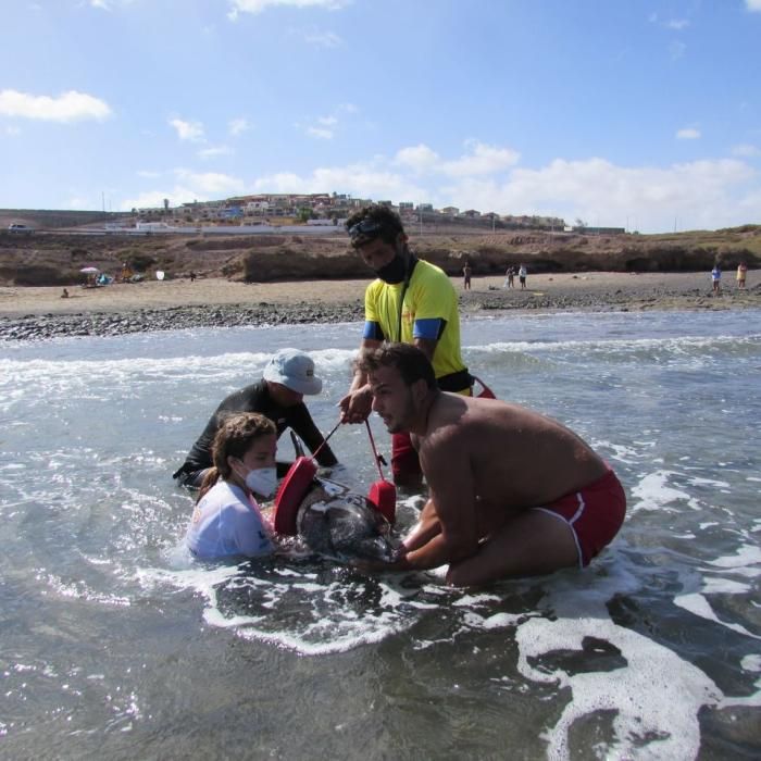 Muerte en la orilla