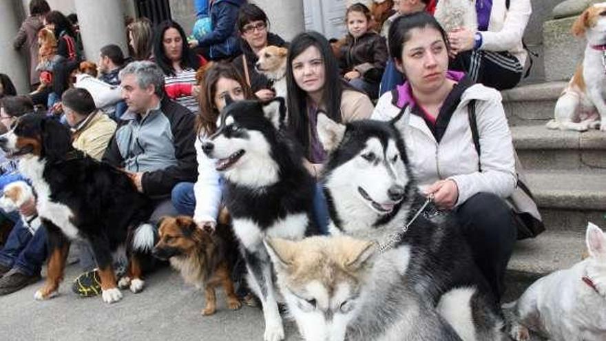 Asistentes a una concentración de propietarios de perros. // S.A.
