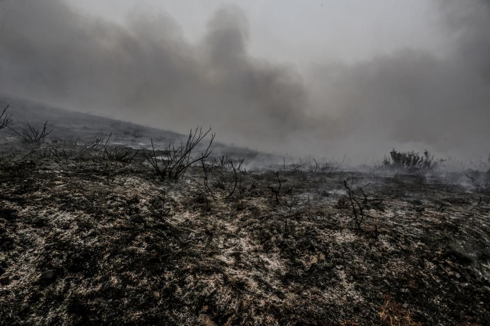 El fuego no da tregua en Degaña