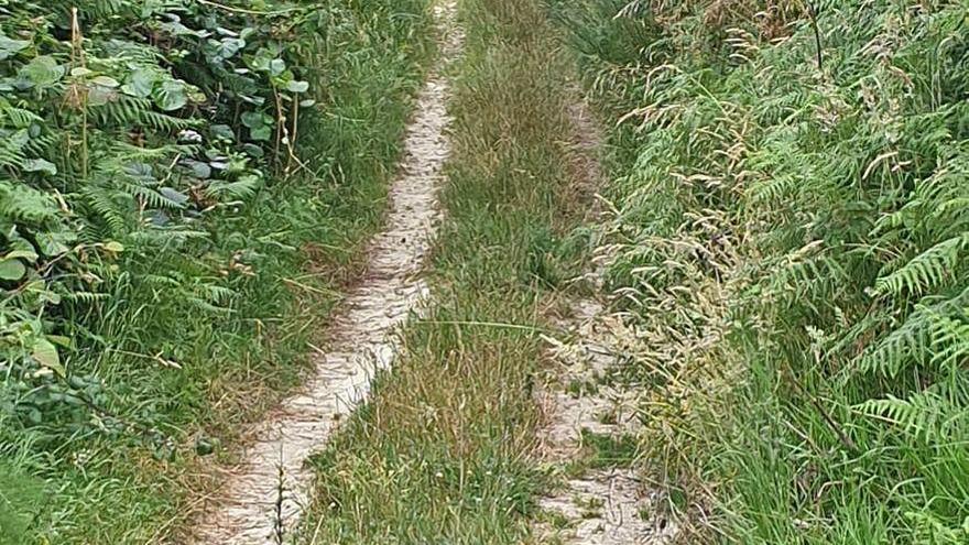 Estado del camino de Berducedo.