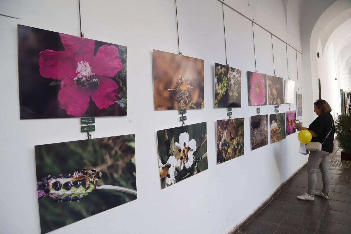 Córdoba
Expomiel 2025