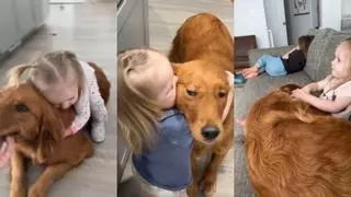 El tierno vídeo de la bonita amistad entre un Golden Retriever y una niña pequeña