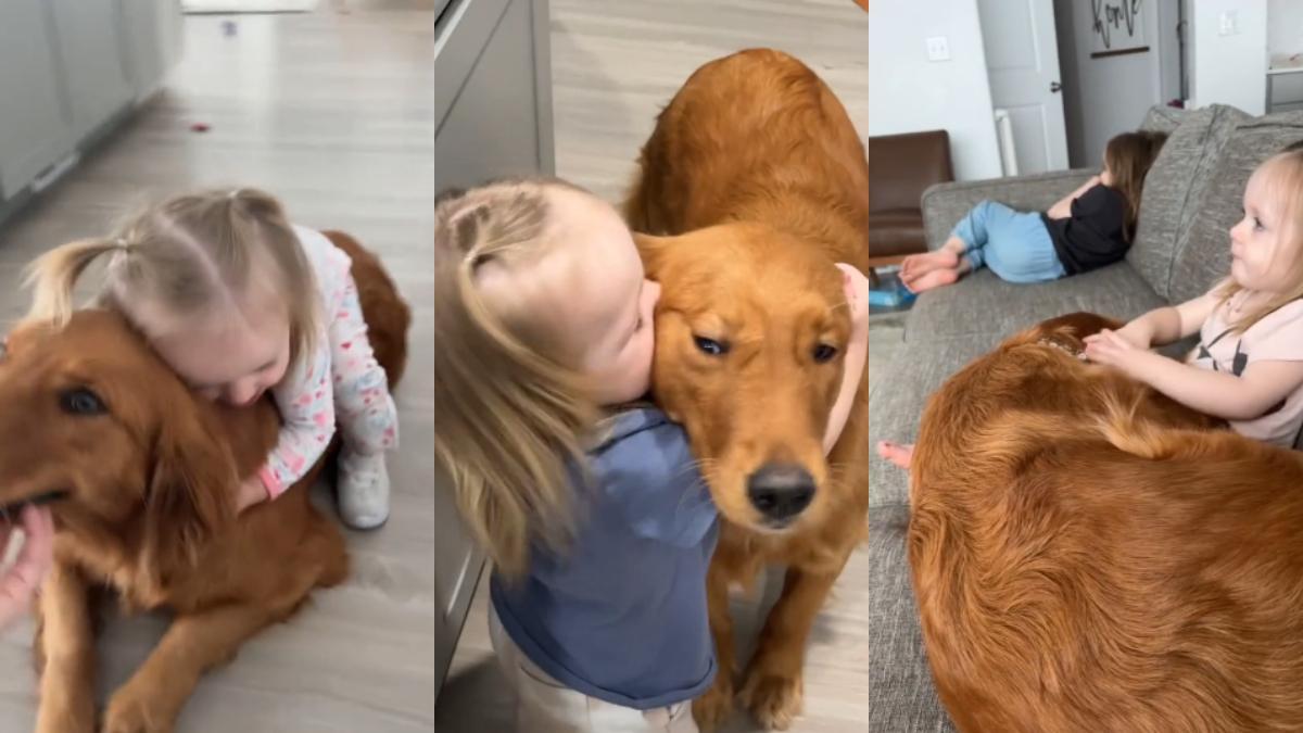Una niña pequeña con su Golden Retriever