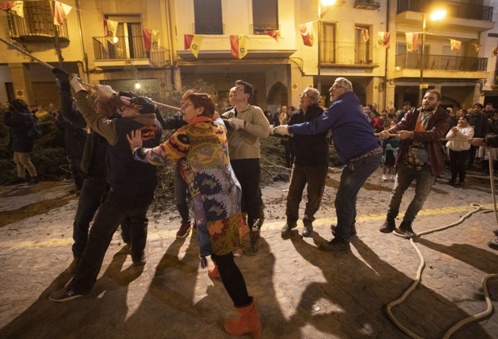 Sant Antoni arranca en Sagunt con la tradicional Plantà del Pi