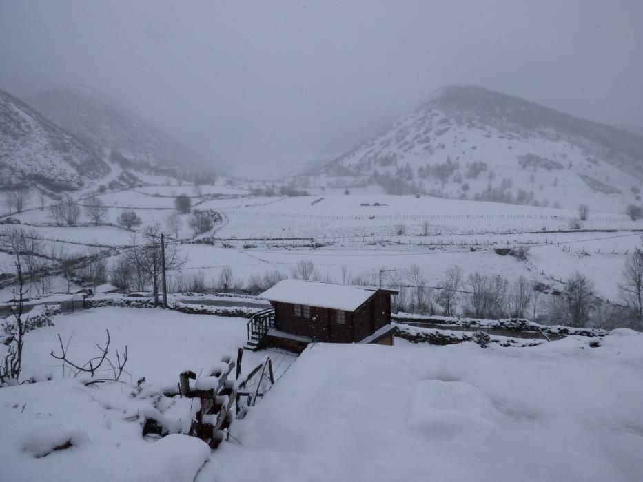 Primera nevada de la primavera o última del invierno en Genestoso, Cangas del Narcea