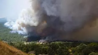 Última hora de los incendios en España, en directo | Horas decisivas en la lucha contra el fuego en Madrid y Ávila ante la llegada de la ola de calor