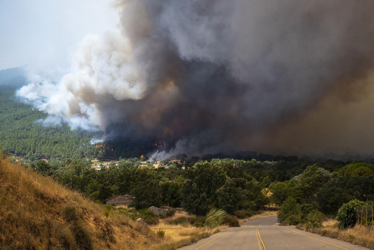 24/07/2026 Una espesa columna de humo cerca de El Castañar de El Tiemblo, a 24 de julio de 2026, en El Tiemblo, Ávila, Castilla y León (España). El Ayuntamiento de Ávila ha desplegado un operativo para atender en la ciudad a los vecinos de El Tiemblo evacuados por el incendio de Burgohondo. El dispositivo, desplegado desde la tarde noche del jueves, se ha conformado para ayudar a las tareas de traslado y evacuación de estos vecinos, han informado a Europa Press fuentes municipales. El alcalde de Ávila, Jesús Manuel Sánchez Cabrera, se encuentra al frente de la operación que cuenta con efectivos del Servicio de Prevención, Extinción de Incendios y Salvamento (Speis), Policía Local y de Protección Civil de Ávila desplegados en diversos puntos de actuación. SOCIEDAD Gabri Solera - Europa Press