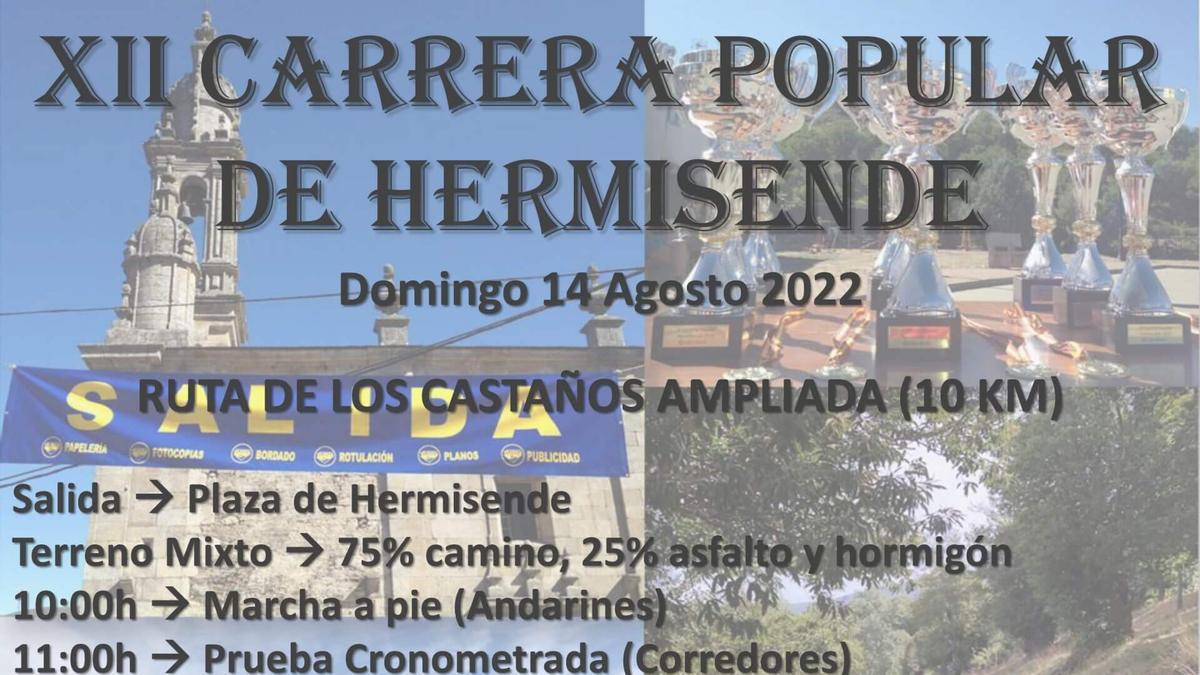 Cartel de la Carrrera Popular de Hermisende