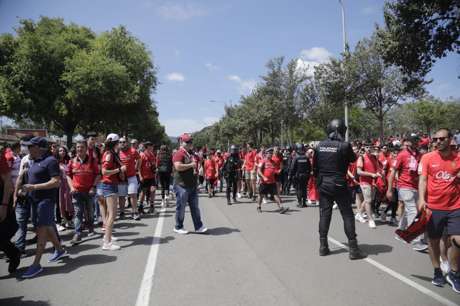 Así han recibido los aficionados al Real Mallorca antes del crucial duelo ante el Granada