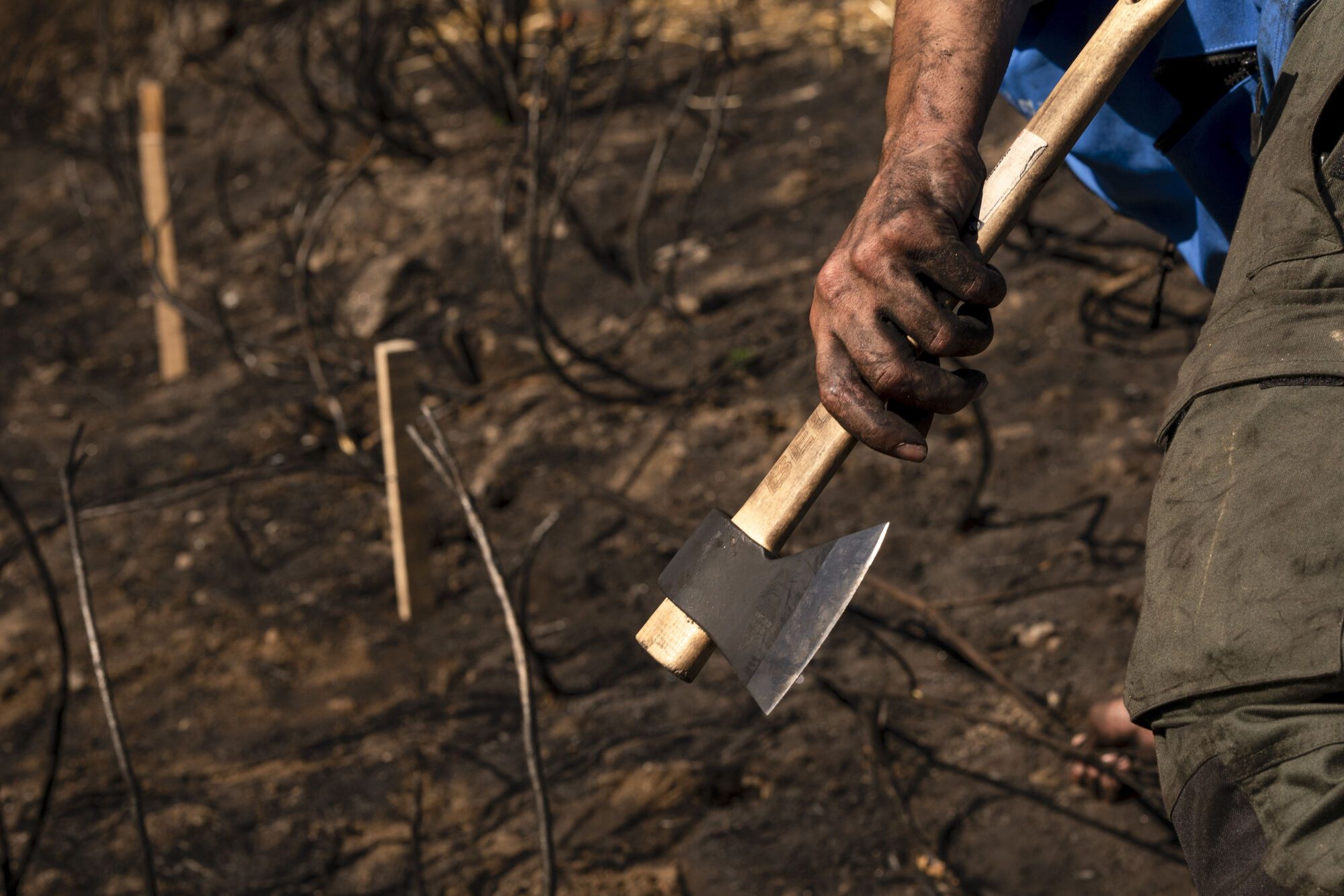 MANZANEDA (OURENSE), 11/10/2025.- Voluntarios comienzan su trabajo en el entorno de Rego da Mourela en Manzaneda (Ourense), para construir estructuras que impidan que las lluvias arrastren el terreno calcinado por los incendios forestales que afectaron a Galicia en agosto. EFE / Brais Lorenzo