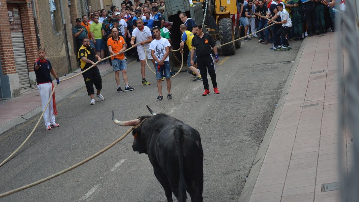 Alberto Lorenzo Colinas, a la izquierda, durante un festejo del toro en Benavente. / E. P.