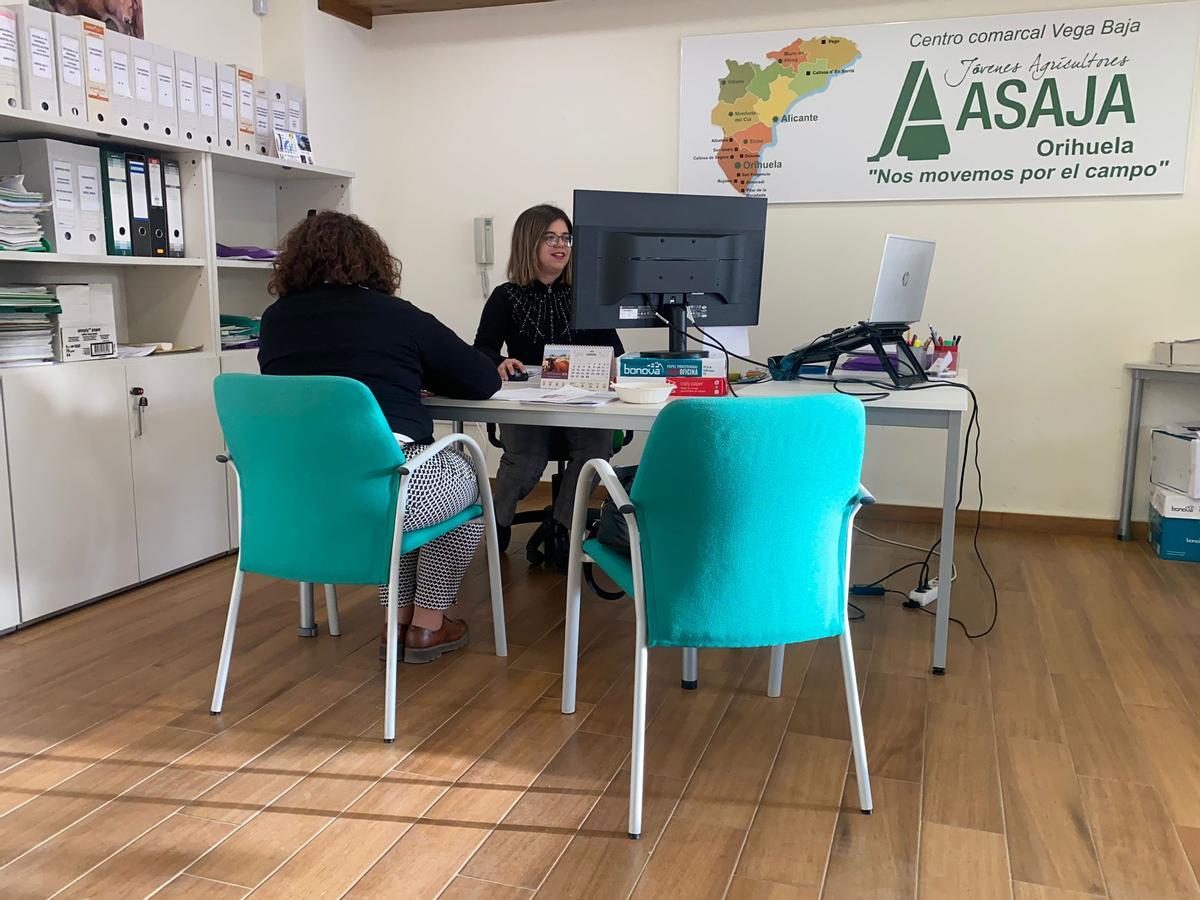 Mar Grimalt, técnico de ASAJA tramitando una PAC en la oficina de ASAJA en Orihuela.