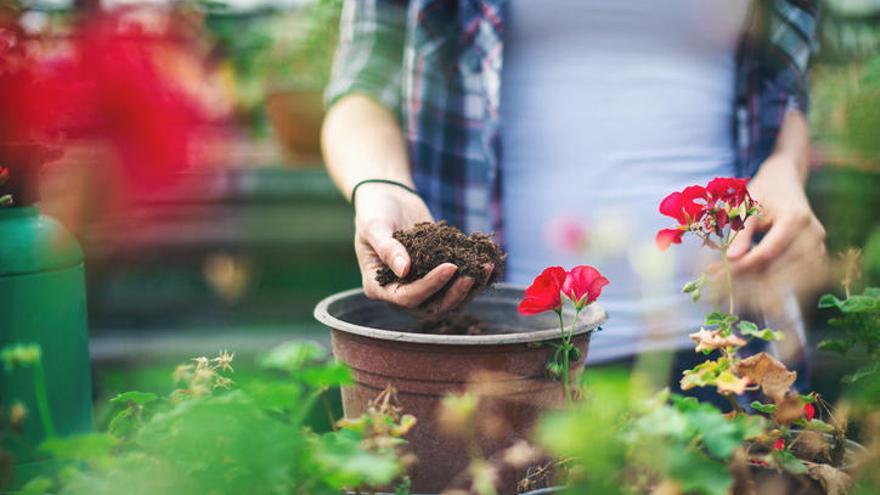 Es un buena época para dar las plantas los nutrientes que necesitan.