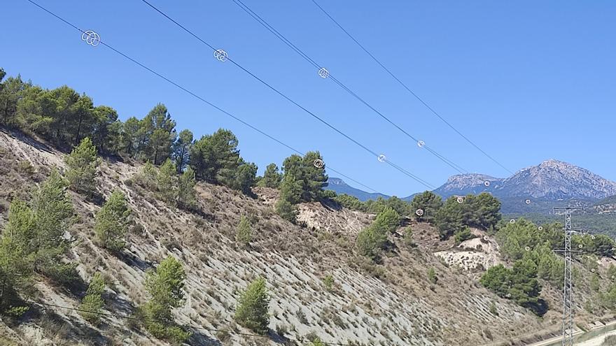 La CHS instala medidas protectoras para las aves en las líneas eléctricas del embalse de Alfonso XIII