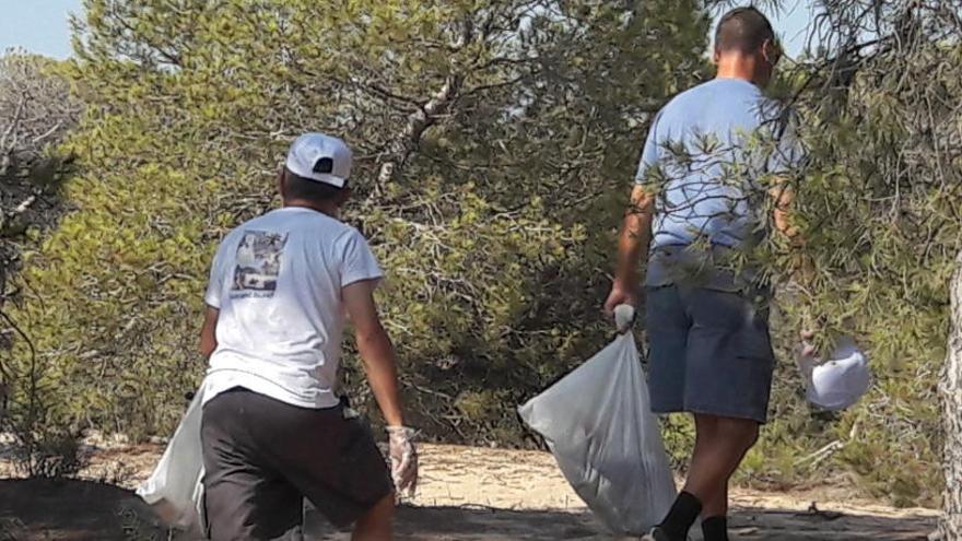 El Partido de Elche participa en la limpieza de la Pinada de La Marina