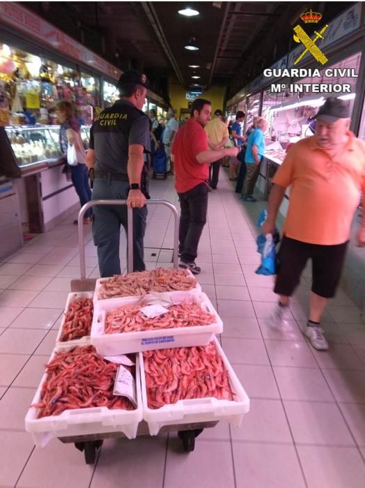 Detectan infracciones de control sanitario del pescado en Alicante y Tabarca