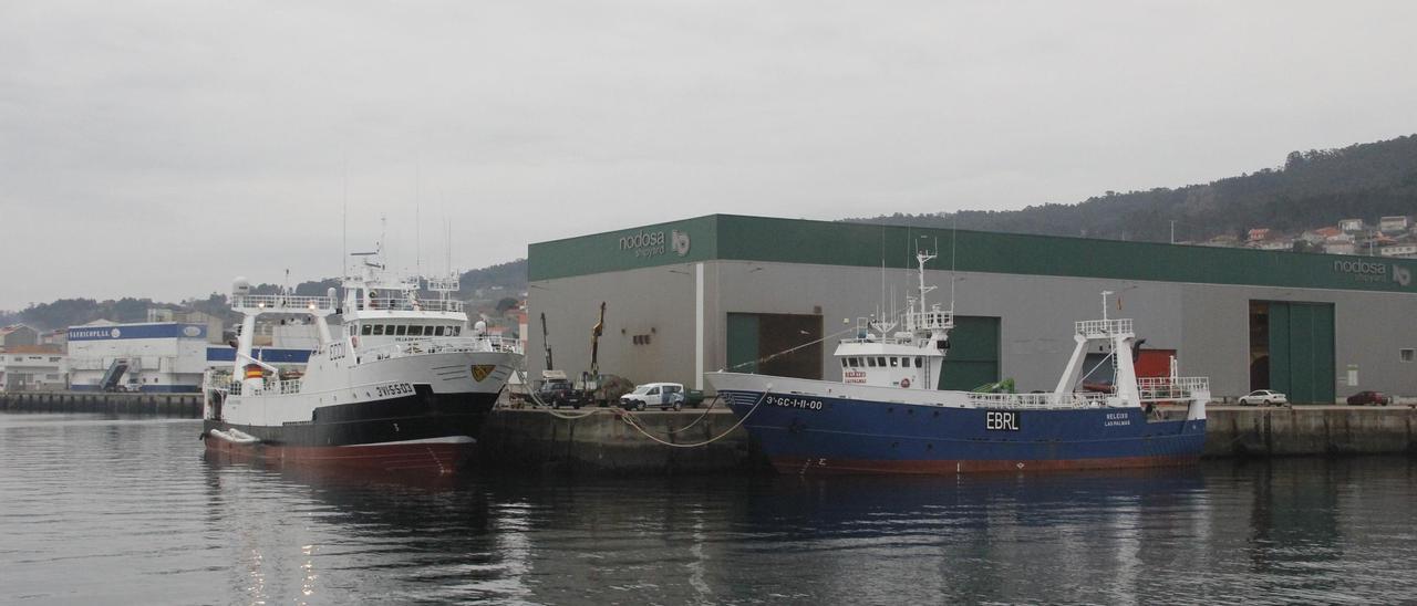 Barcos cefalopoderos amarrados en el puerto de Marín en una foto de archivo.