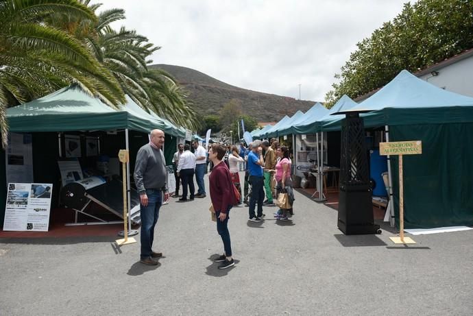 Feria Ecológica de Gran Canaria