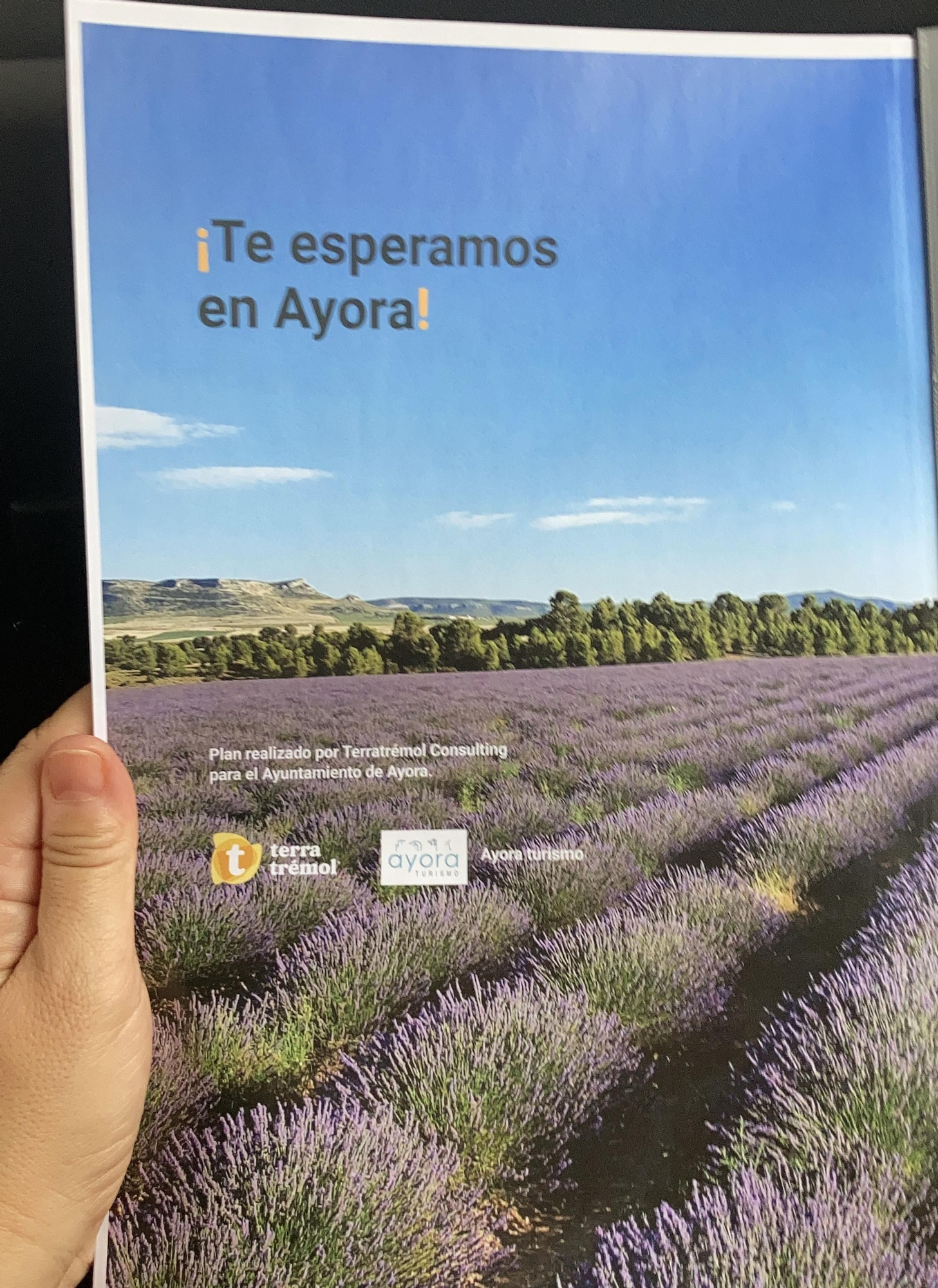 Plan de Turismo Sostenible de Ayora