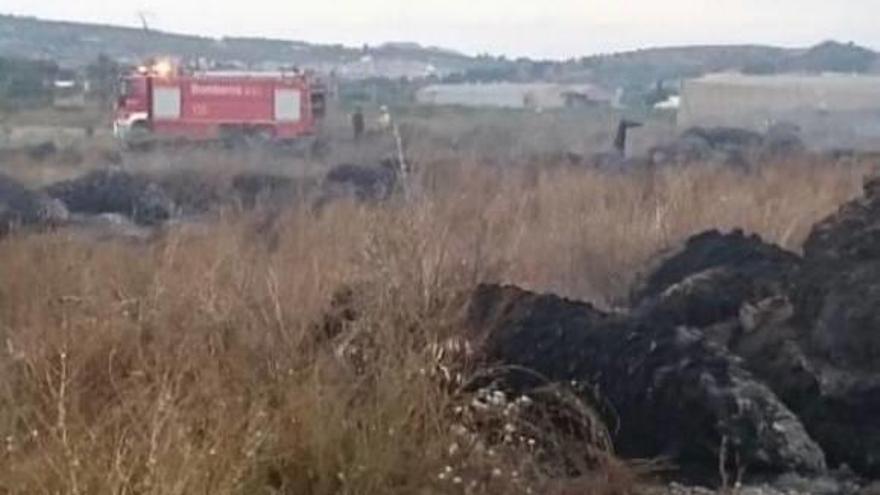 Un incendio calcina 10.000 metros cuadrados de suelo agrícola y forestal en Jacarilla