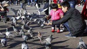 Una familia da de comer a las palomas de la plaza de Catalunya.