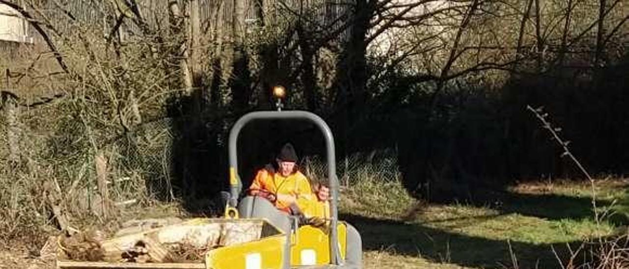 Trabajos para erradicar plantas invasoras en Talleres del Conde.