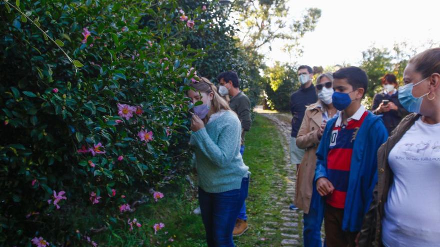 Otra buena razón para visitar los jardines de Quinteiro da Cruz y el pazo de Rubiáns