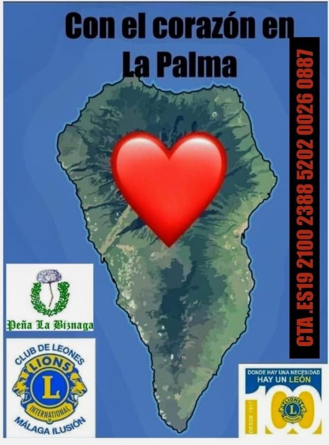 Cartel de la campaña.