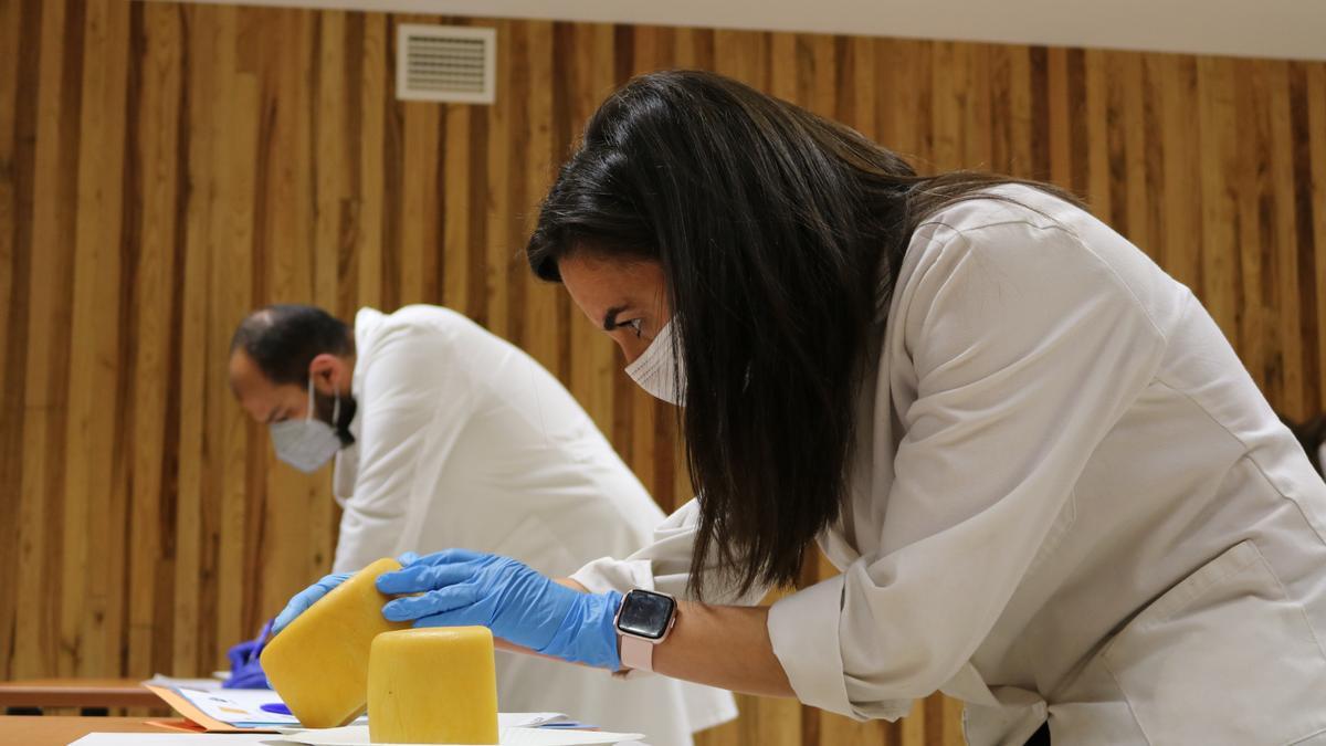 Cata a ciegas de la quinta edición de los Premios Espiga a los quesos con Denominación de Origen Protegida.