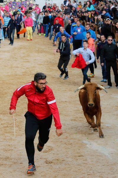 Encierros en Morales del Vino