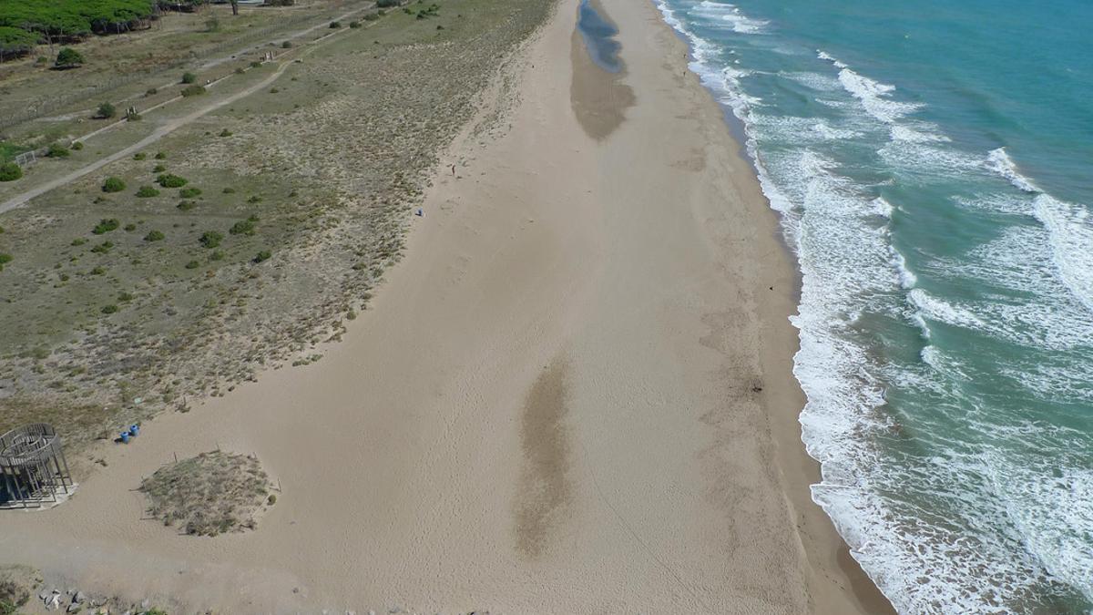 Playa del Remolar, una de las dos de Viladecans reconocida como `Playa Vírgen¿.