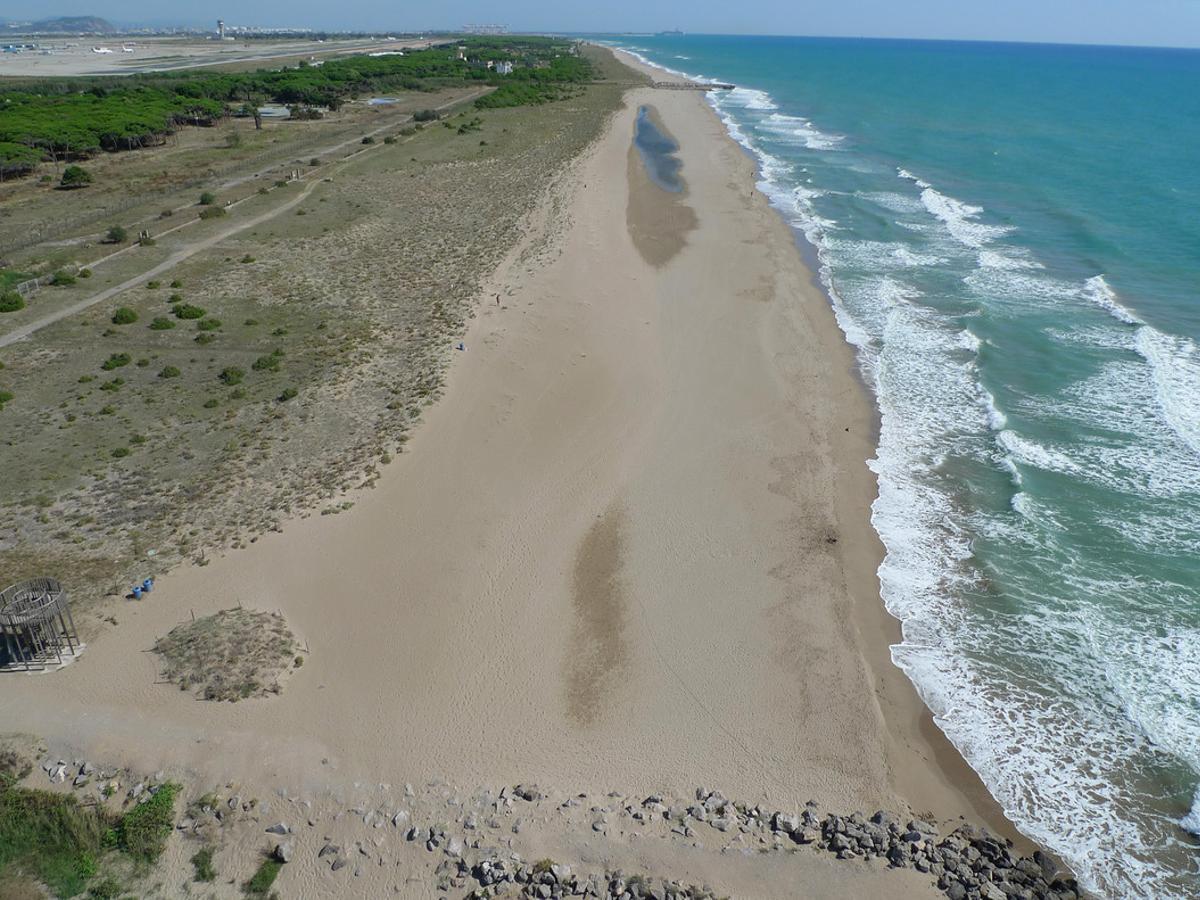 Platja del Remolar, una de les dues de Viladecans reconeguda com a ‘Platja Verge’.